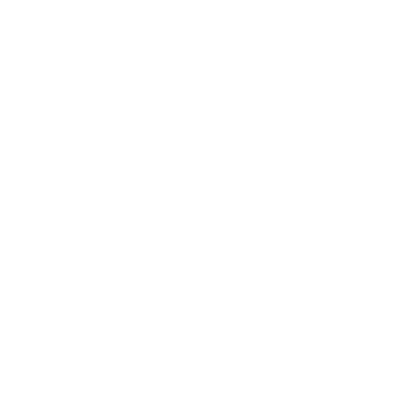 Carrier Logo