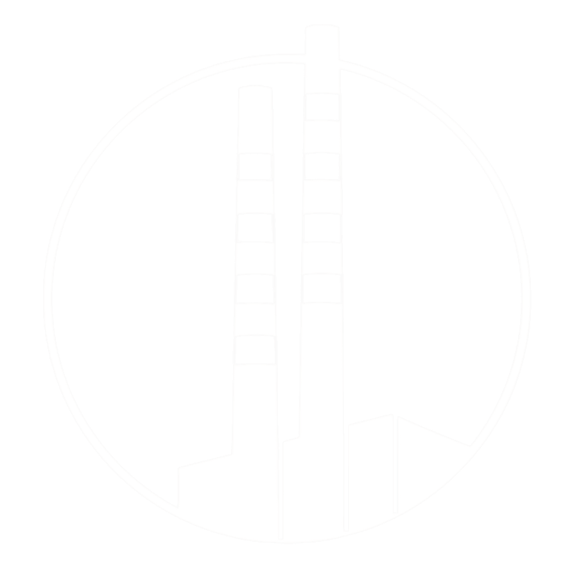 The Dublin Software Company Logo